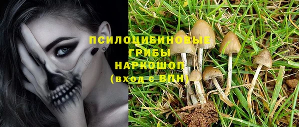 альфа пвп Горно-Алтайск