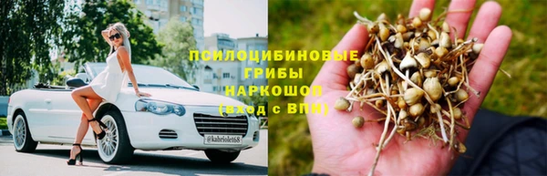 мяу мяу мука Горняк