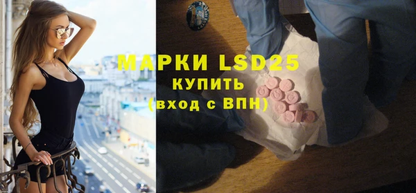 мяу мяу мука Горняк
