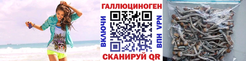 Псилоцибиновые грибы Magic Shrooms Звенигово